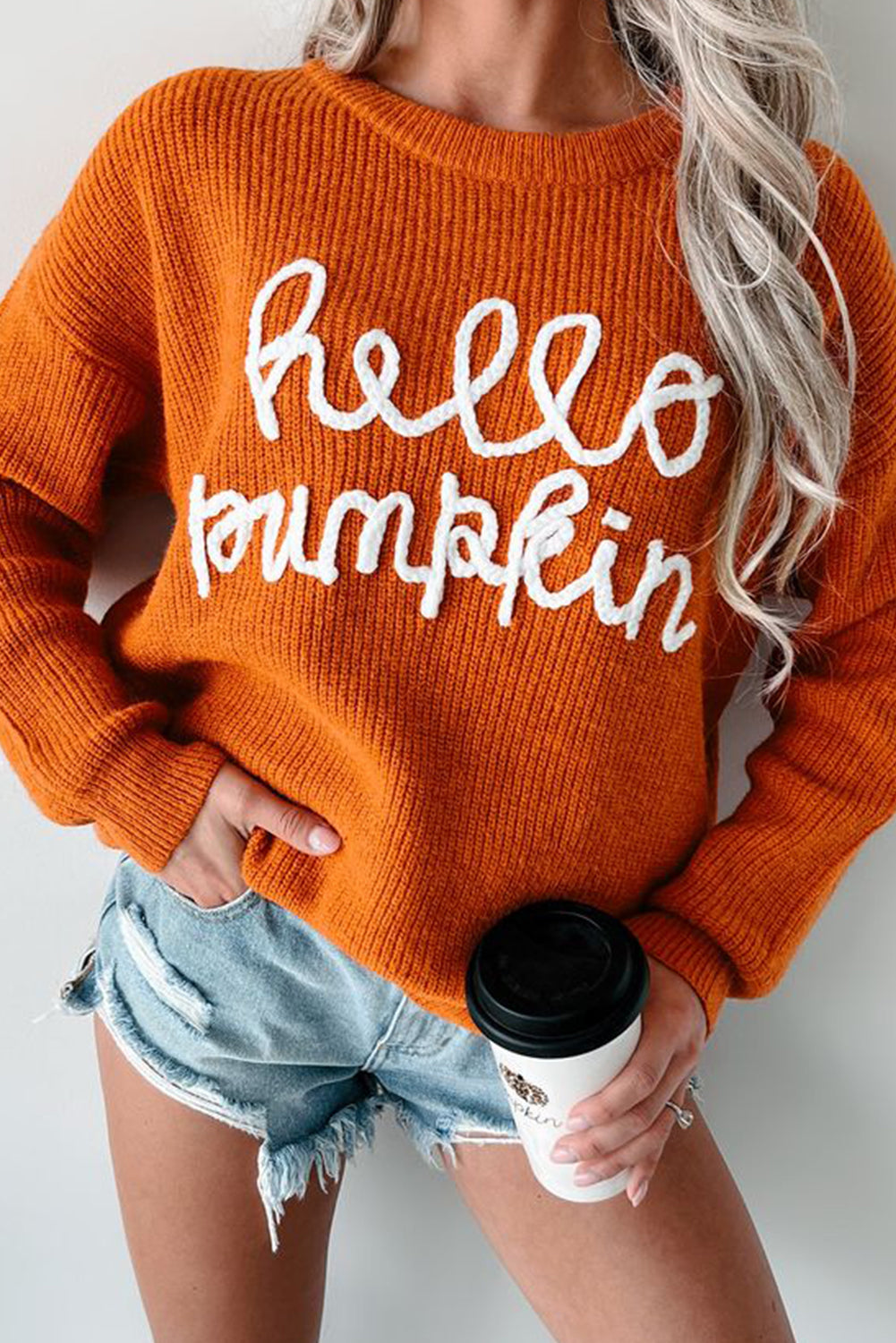 Flamingo Hello Pumpkin Graphic Sweater Sweaters 2aee9c33de175bde
