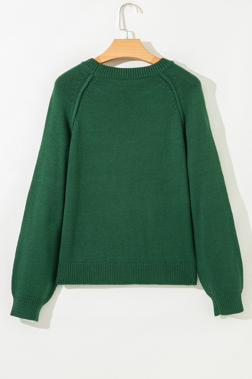 Evergreen Plain Raglan Sleeve Crew Neck Sweater Sweaters 46b015420e6a9457