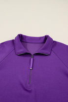 Wisteria Collar Half Zip Pullover Mini Skirt Plus Size 2pcs Set Plus Size Matching Sets 92aa367ea22b9d06